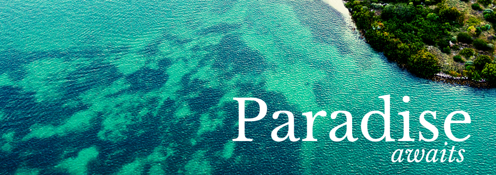 paradise awates